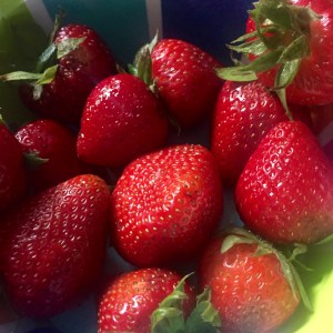 The last Straw..berry